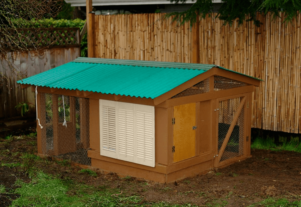 Learn how to build your own chicken coop